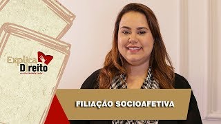 Explica Direito Filiação Socioafetiva  2019 [upl. by Ahsiemat]