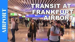 TRANSIT WALK AT FRANKFURT Airport FRA Terminal 1  Connection Flight Transfer Arriving amp Departing [upl. by Htebilil594]